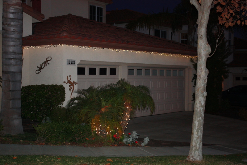  Our Lights