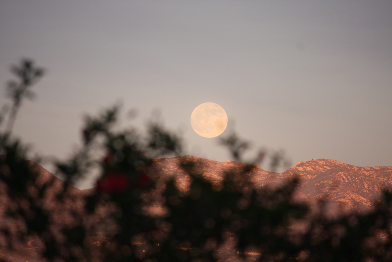  Moon