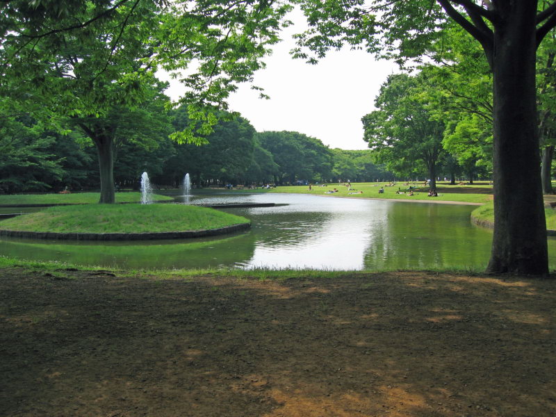  6 Jun