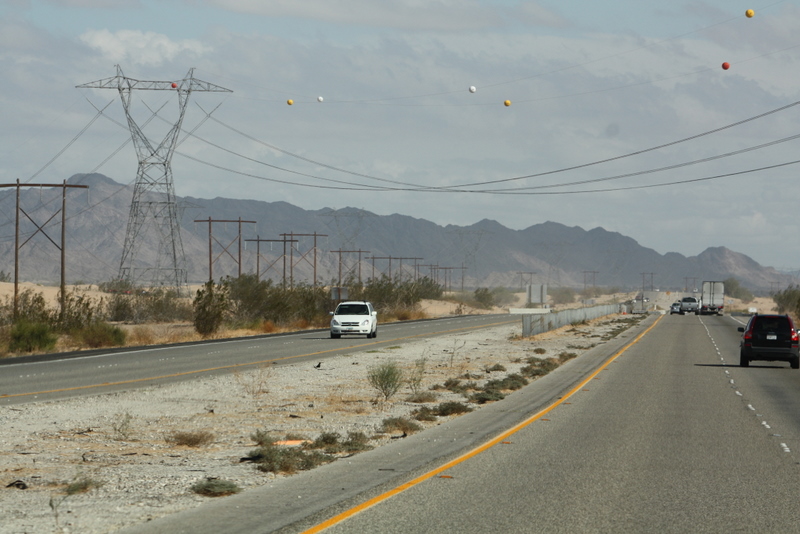  Phoenix Road Trip
