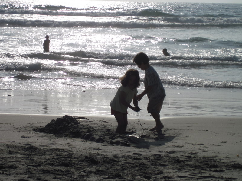  Torrey Pines Beach