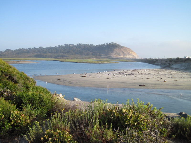  Torrey Pines Reserve