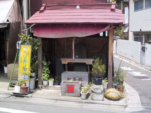  Shrine 